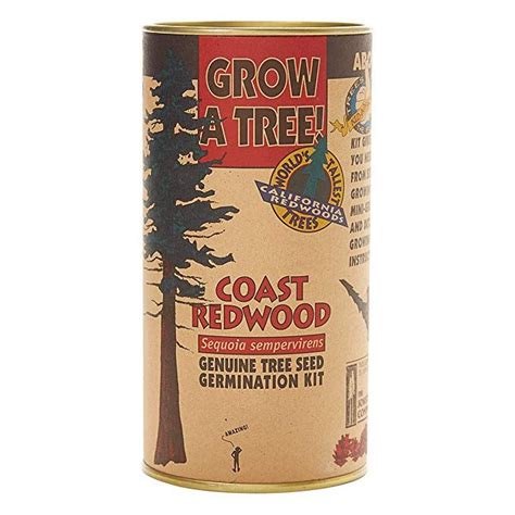 Coast Redwood | Tree Seed Grow Kit | The Jonsteen Company | Coast redwood, Tree seeds, Tree ...