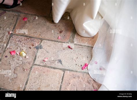 Petals and bridal dress Stock Photo - Alamy