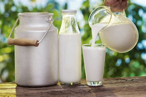 Susu Pasteurisasi vs Susu Segar, Ini Faktanya! - Alodokter