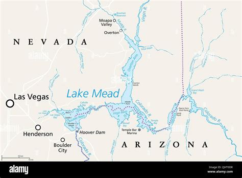 Lake Mead, largest reservoir in the US, political map. Formed by the Hoover Dam on the Colorado ...