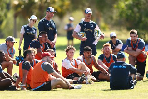 Eddie Jones confirms 2023 Wallabies coaching staff