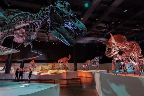 Expert’s Guide: Houston Museum of Natural Science | Houstonia Magazine