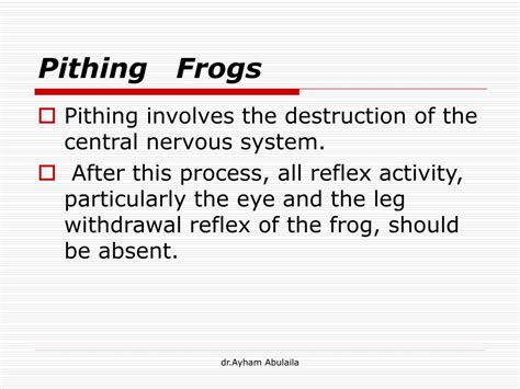 PPT - Frog Heart Physiology PowerPoint Presentation - ID:344552