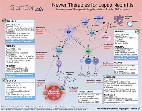 Lupus Nephritis Treatment – What is Next? – GlomCon (pubs)