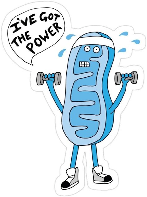 'I've got the Power!' | ARTA Online Training