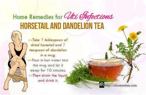 30 Natural Home Remedies for Uti Infections in Women & Men