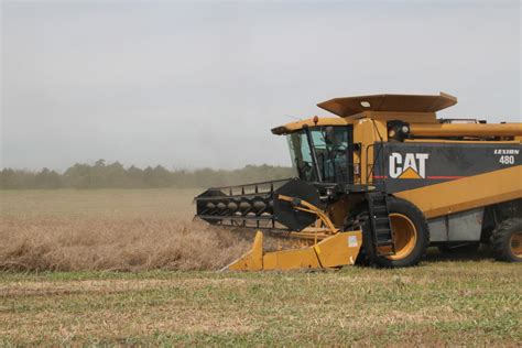 Oklahoma Farm Report - Canola Harvest Ends for 2010- We Show You Pictures- Part Two