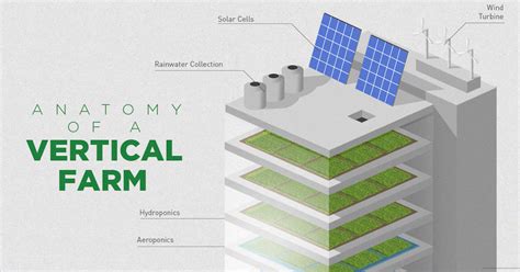 Infographic: How Vertical Farming Works