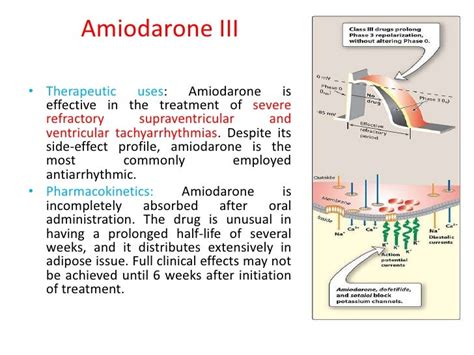 amiodarone side effects - DriverLayer Search Engine