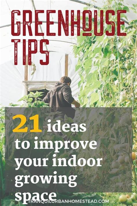 21 Great Tips To Have The Best Greenhouse Ever | Healthy Fresh Homegrown by Tranquil Urban Homestead