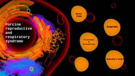 Porcine reproductive and respiratory system by Matěj Kalina on Prezi