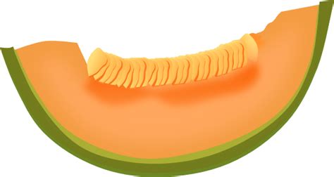 Cantaloupe Slice Clip Art at Clker.com - vector clip art online ...