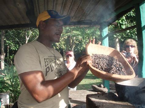 Roasting cacao seeds | NCpedia