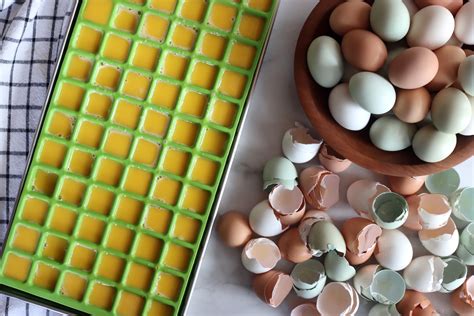 How to Freeze Dry Eggs (& Ways to Use Them) — Practical Self Reliance