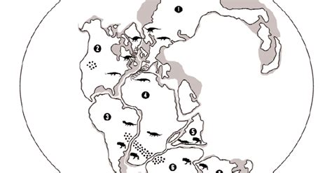 Plate Tectonics Puzzle: Activity for 4th/5th Graders | AMNH