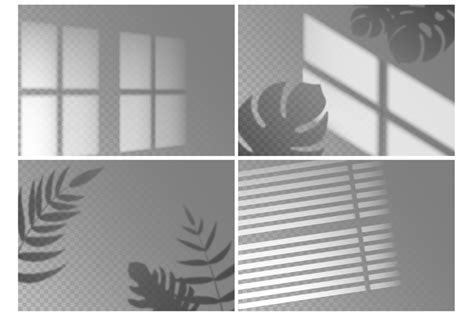 Realistic shadow overlay. Window light with shadow texture of tropical ...