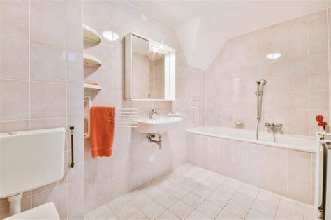 Interior of a bathroom stock image. Image of clean, mirror - 258439871