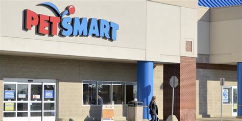 PetSmart Grooming Prices (2023 Updated) – Discovering Employment Paths ...