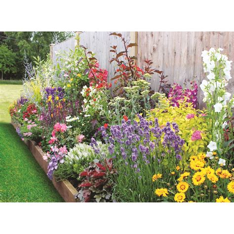 Bee and Butterfly Border Collection - 3m x 60cm | Cottage garden borders, Small garden borders ...