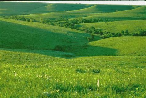 Konza Prairie, Kansas | Nature pictures, Prairie, Nature