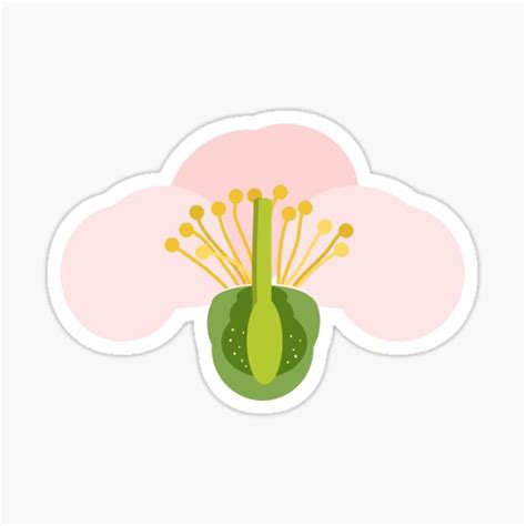 "Apple Blossom Diagram" Sticker for Sale by Benny-and-Bea | Redbubble