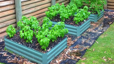 Soil For Raised Bed: Raised Bed Gardening Soil Mix Recipe – Slick Garden