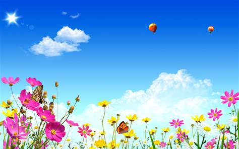 1920x1080202149 flowers, sky, butterflies 1920x1080202149 Resolution Wallpaper, HD Vector 4K ...