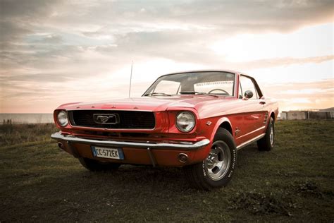 Sunset Mustang by Massimiliano Graziani | Mustang, Sunset, Photo