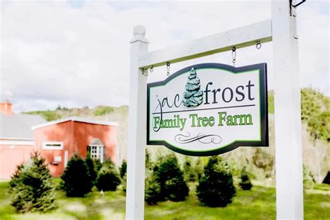 13 Beautiful Christmas Tree Farms in Vermont Where You Can Cut Your Own