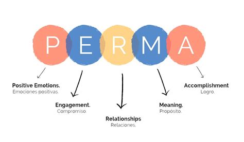 Modelo Perma de Martin Seligman: Psicología Positiva - 𝗜𝗘𝗣𝗣 | Psicología positiva, Positivo ...