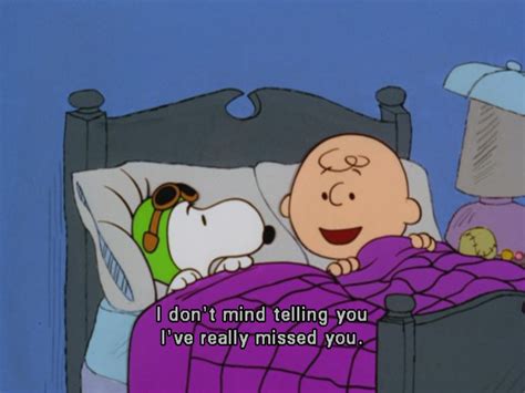 PEANUTS feelings | Cartoon quotes, Snoopy quotes, Charlie brown quotes