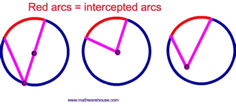 Arc of a circle, minor arc, major arc, and central angle.