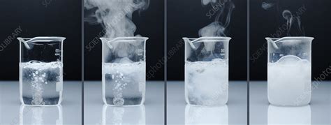 Calcium Reacts with Water - Stock Image - C030/7951 - Science Photo Library