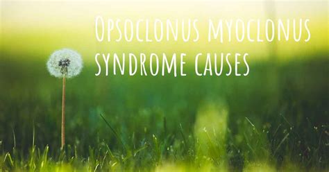 Which are the causes of Opsoclonus myoclonus syndrome?