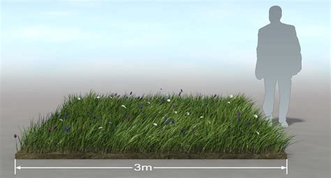 Grass Animated 3D Model $59 - .max .unknown .c4d .fbx - Free3D