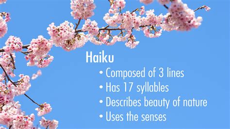 Haiku Examples