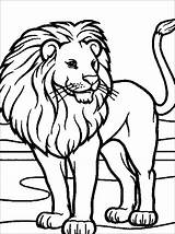 Lion  Coloring Pages sketch template