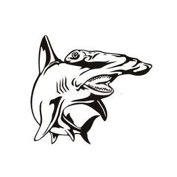 Hammerhead Shark Black White Stock Illustrations – 294 Hammerhead Shark Black White Stock ...