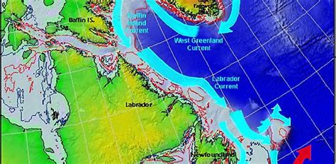 What And Where Is The Labrador Current? - WorldAtlas.com