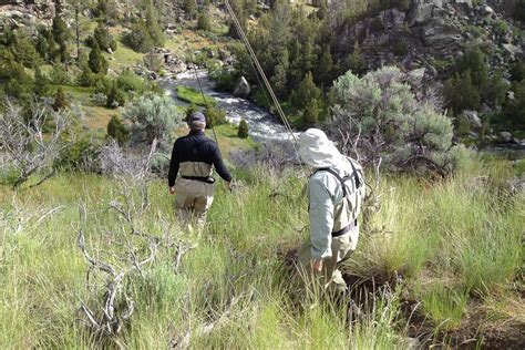 Full-Day Montana Private Water Fly-Fishing Trip