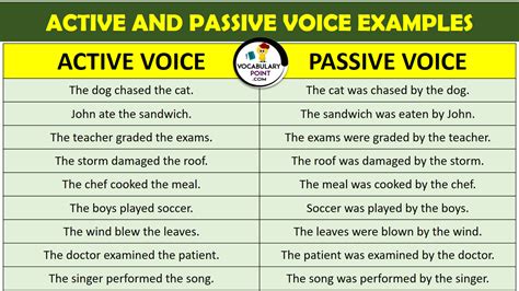 PASSIVE SENTENCES EXAMPLES Archives - Vocabulary Point