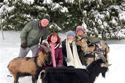 Snowshoeing with mountain goats Private activity 2023 - Quebec City