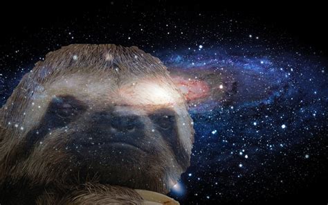 Funny Desktop Wallpaper Space