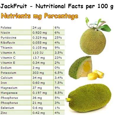 Jackfruit seeds uses – NatureWord