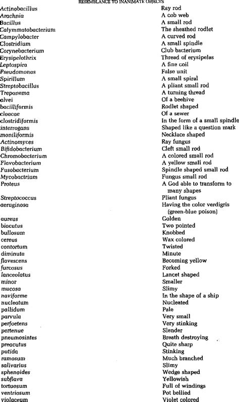 Bacteria Pictures With Names