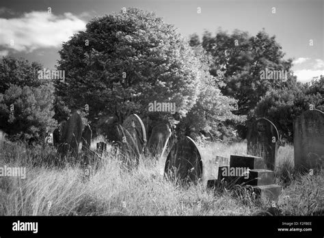 A view of Kingston Cemetery Stock Photo - Alamy