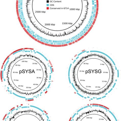 Genome coverage based on circular genome plots of the Synechocystis ...