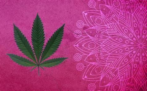 Psychedelic weed. Everything you need to know about it.