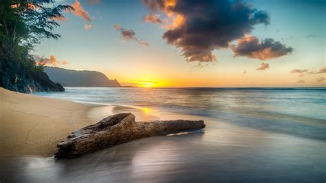 2560x1440 Driftwood On Beach At Sunset On North Shore Of Kauai 8k 1440P Resolution ,HD 4k ...