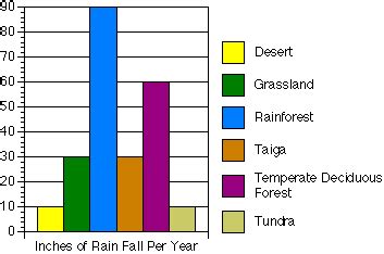 Desert Climate - Desert Biome